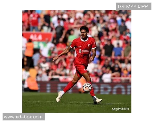 日本新星足球明星崛起背后的故事与未来展望 日本新星足球明星崛起背后的故事与未来展望