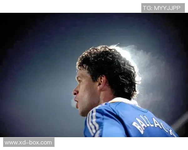 足球明星巴拉克豪华别墅揭秘生活品味与设计风格的完美结合 足球明星巴拉克豪华别墅揭秘生活品味与设计风格的完美结合