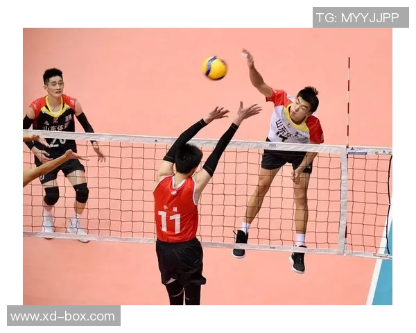 排球心理素质评比揭晓武汉排球队荣登第三名引关注 排球心理素质评比揭晓武汉排球队荣登第三名引关注