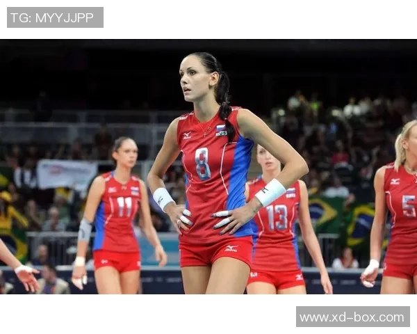 赵娜专访:从青涩球员到排球女神的奋斗与成长之路 赵娜专访:从青涩球员到排球女神的奋斗与成长之路