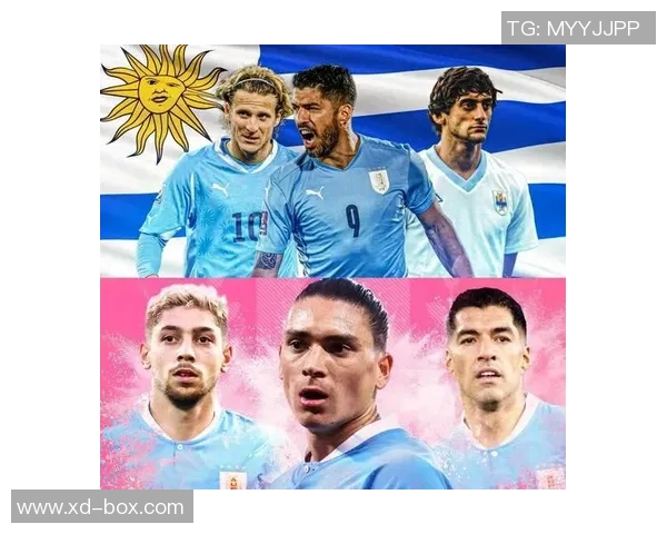 叫Marco的足球明星：他如何在绿茵场上书写传奇与荣耀