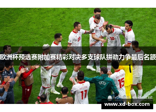 欧洲杯预选赛附加赛精彩对决多支球队拼劲力争最后名额