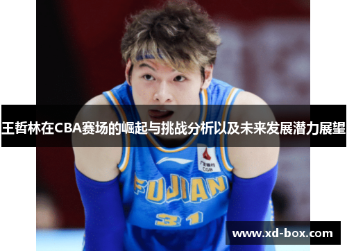 王哲林在CBA赛场的崛起与挑战分析以及未来发展潜力展望