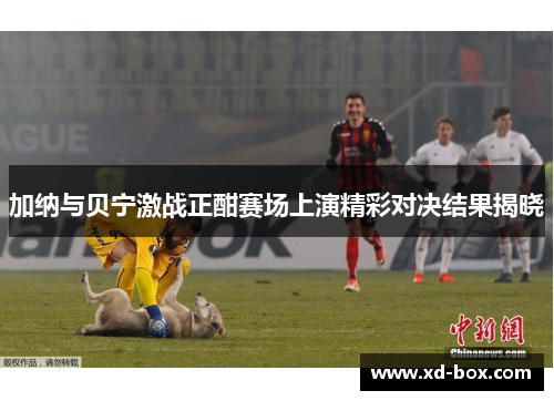 加纳与贝宁激战正酣赛场上演精彩对决结果揭晓