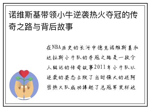 诺维斯基带领小牛逆袭热火夺冠的传奇之路与背后故事